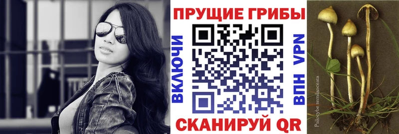Галлюциногенные грибы прущие грибы  Губкин 